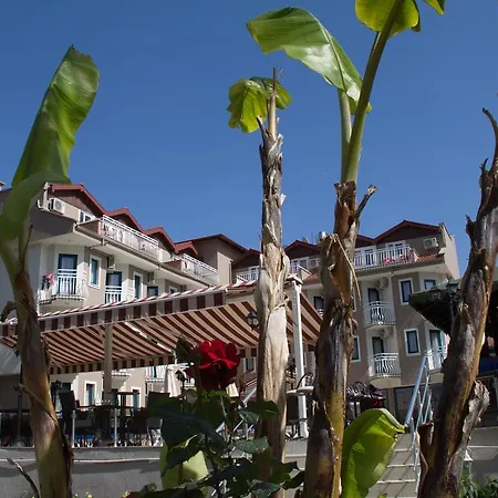 Hotel Remer 3*
